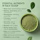 image 3 of SuperSelf Organic Super Greens Powder with 12 Superfoods 200g