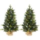 image 6 of HOMCOM 2 Pieces 3' Prelit Artificial Tabletop Christmas Trees, LED Display