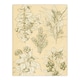 image 3 of Owen Jones Framed Wall Art Leaves From Nature No 7 Vintage Botanical Home Décor