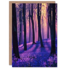 Realistic Purple Bluebell Forest Dawn Sun Him Her Birthday Card
