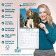 image 6 of Beagle 2026 Calendar | Square Wall Calendar | Dog Breed Gift | Plastic Free Packaging | by Avonside Publishing