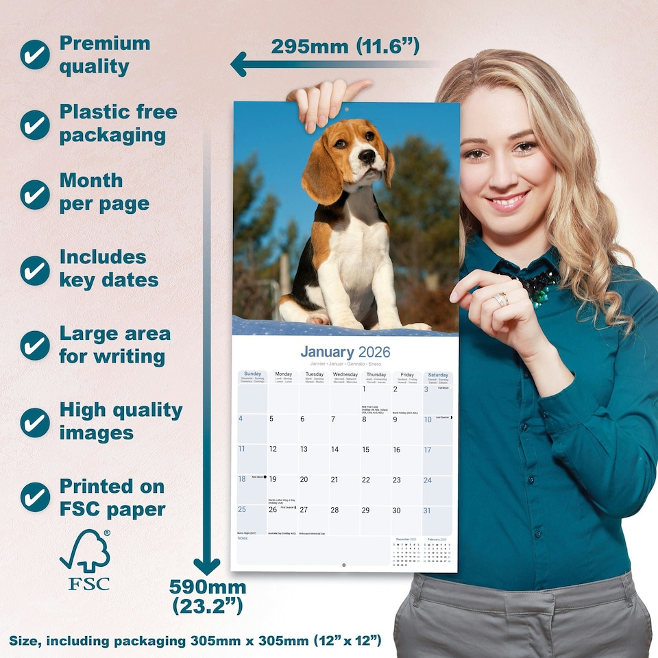 image 1 of Beagle 2026 Calendar | Square Wall Calendar | Dog Breed Gift | Plastic Free Packaging | by Avonside Publishing