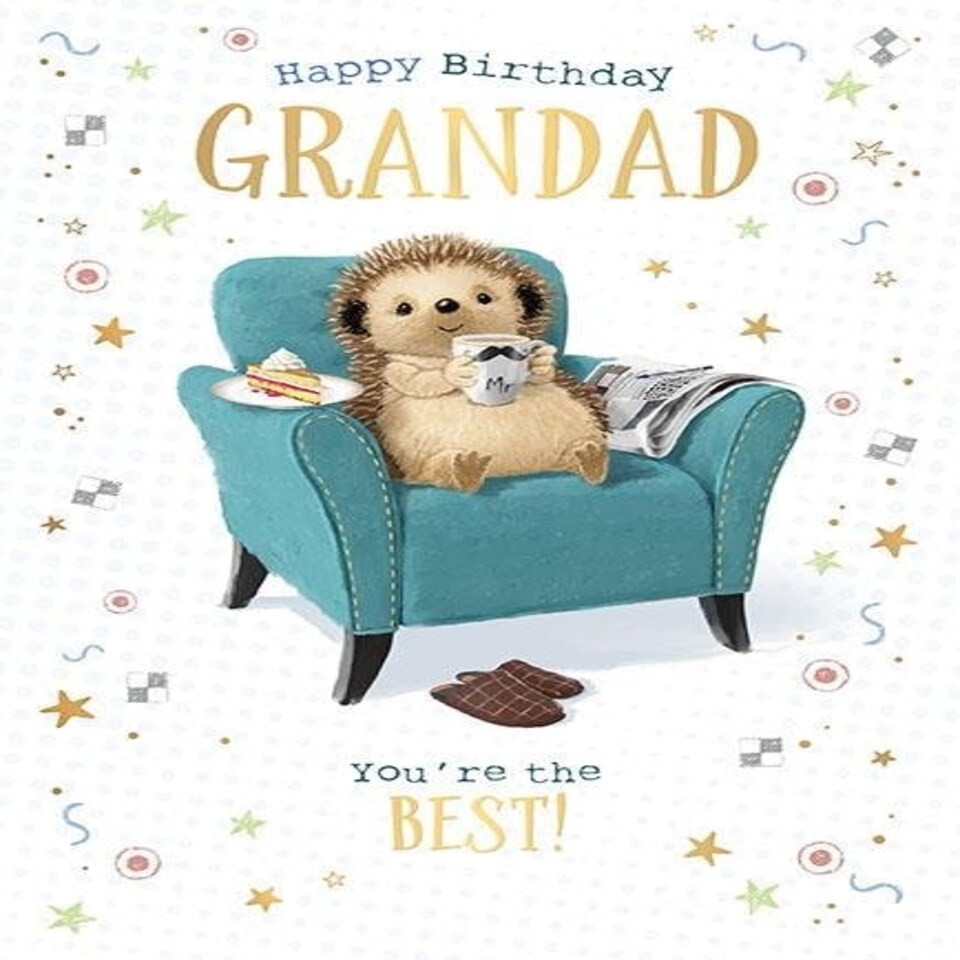 Words 'n' Wishes Grandad Birthday Card, Happy Birthday Card with a Relaxed Hedgehog Design and Foil Details, Birthday Card for Men