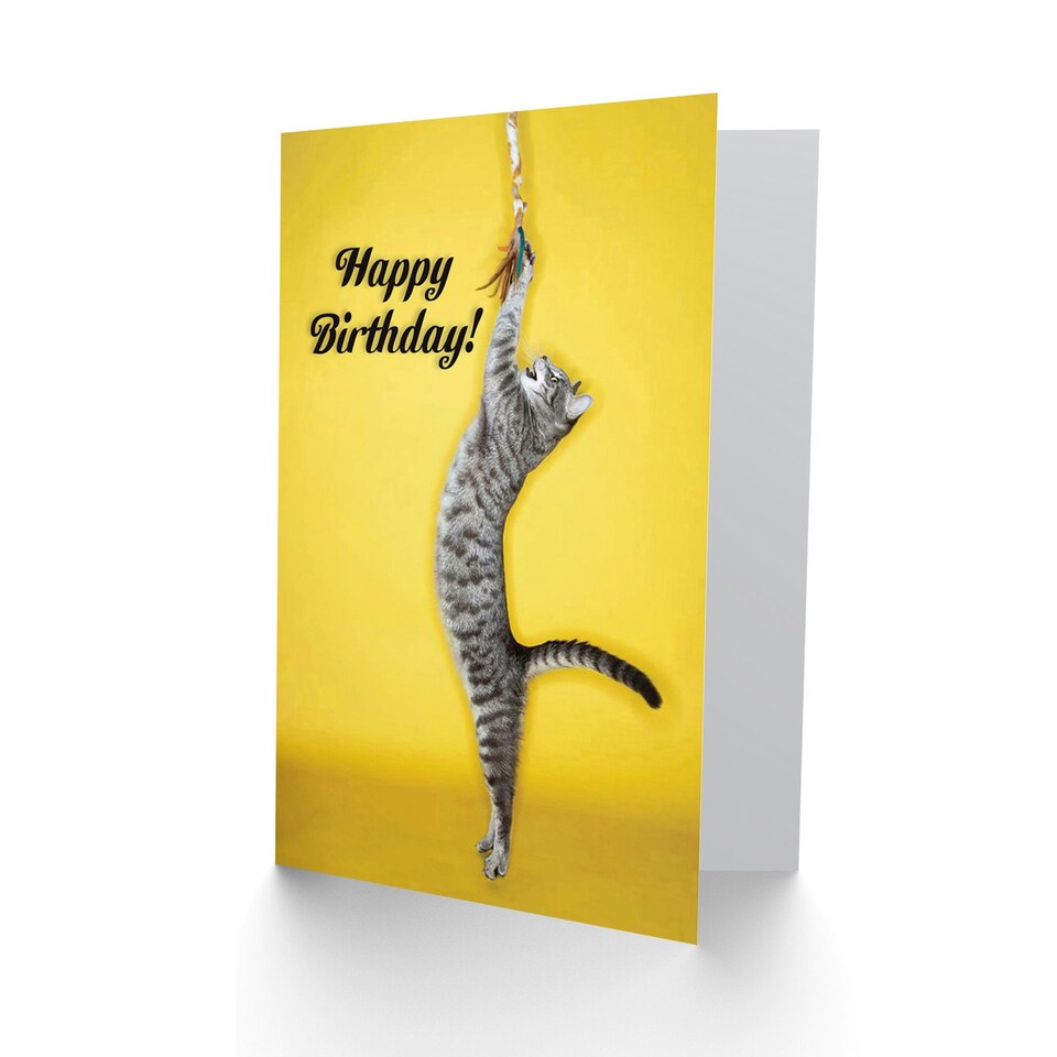 image 1 of Playful Cat Lover Pet Tabby Yellow Happy Birthday Greeting Card