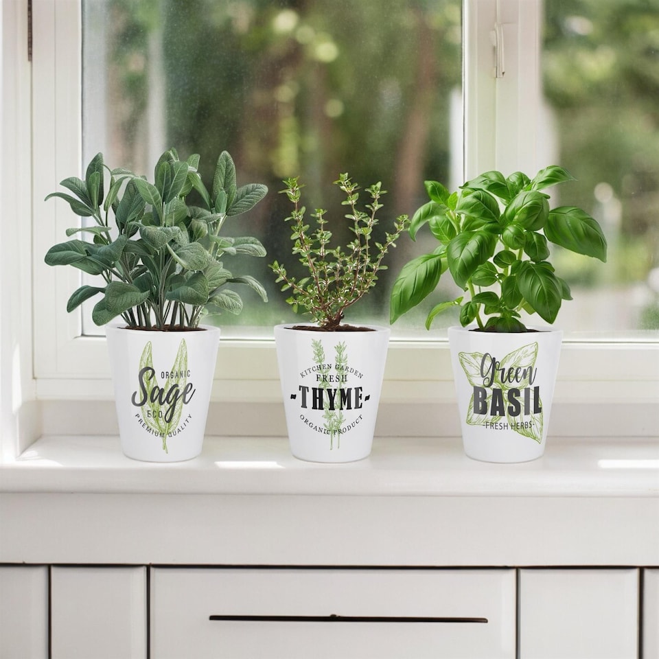 image 1 of Fresh Green Herbs Small Ceramic Sage Plant Pot