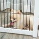 image 8 of PawHut Freestanding Pet Gate Safety Barrier 4 Pannel with Support Feet White