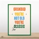 image 2 of You're Not Old You're Jurassic - Funny Grandad Birthday Card
