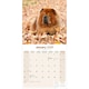 image 3 of Chow Chow 2026 Calendar | Square Wall Calendar | Dog Breed Gift | Plastic Free Packaging | by Avonside Publishing