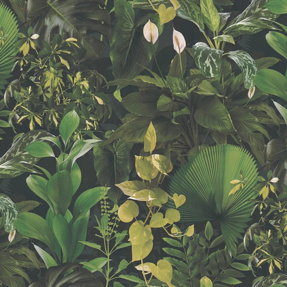 Sample of Indoor Oasis Wallpaper in Green | Green | Green