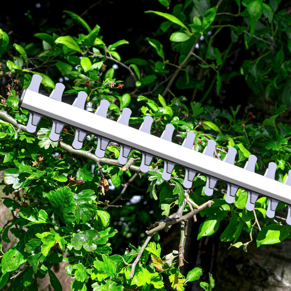 image 1 of Terratek 20V 2.4m Cordless Telescopic Long Reach Hedge Trimmer 1 Battery | Grey | Grey | 1