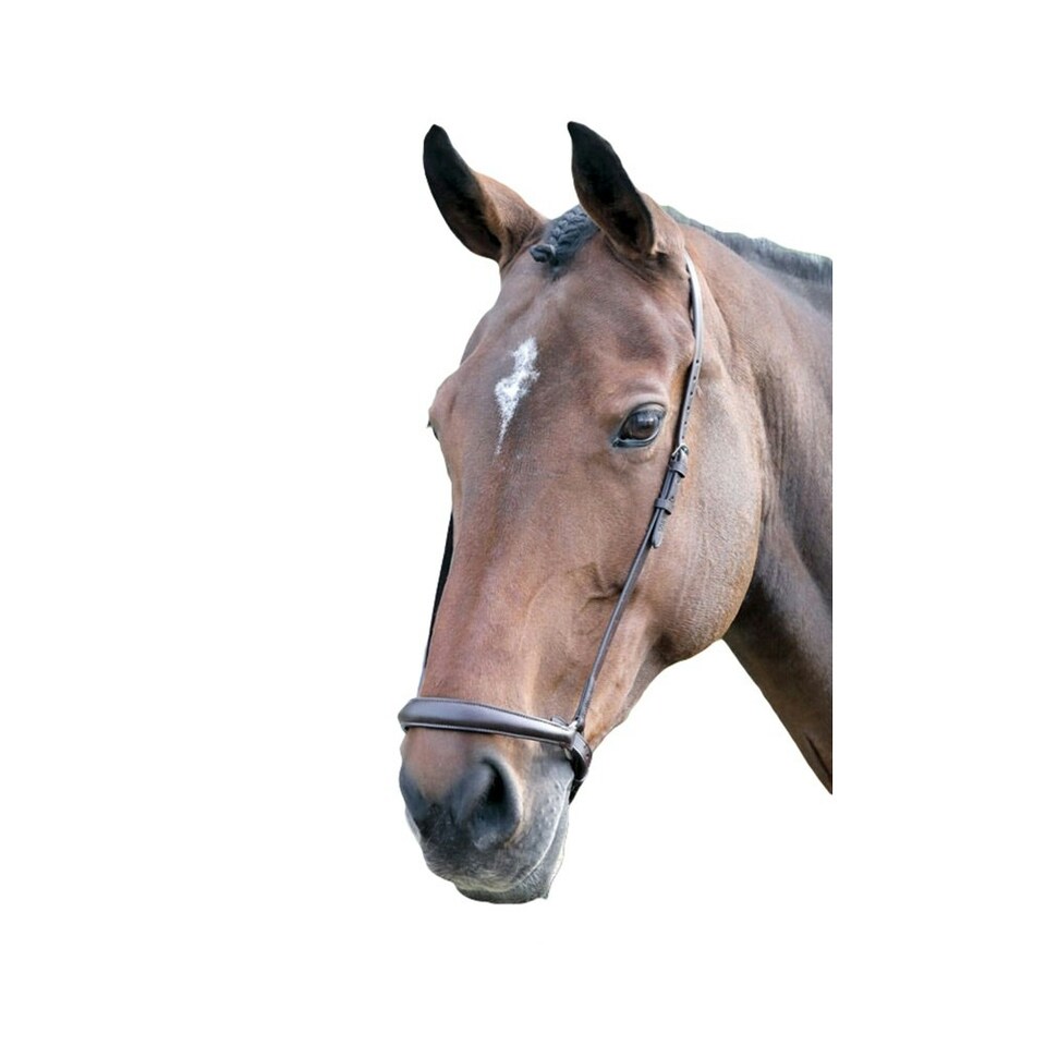 Blenheim Leather Horse Drop Noseband - Havana - Cob