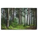 image 1 of Beautiful summer forest with different trees Designer Bath Towel | Multi