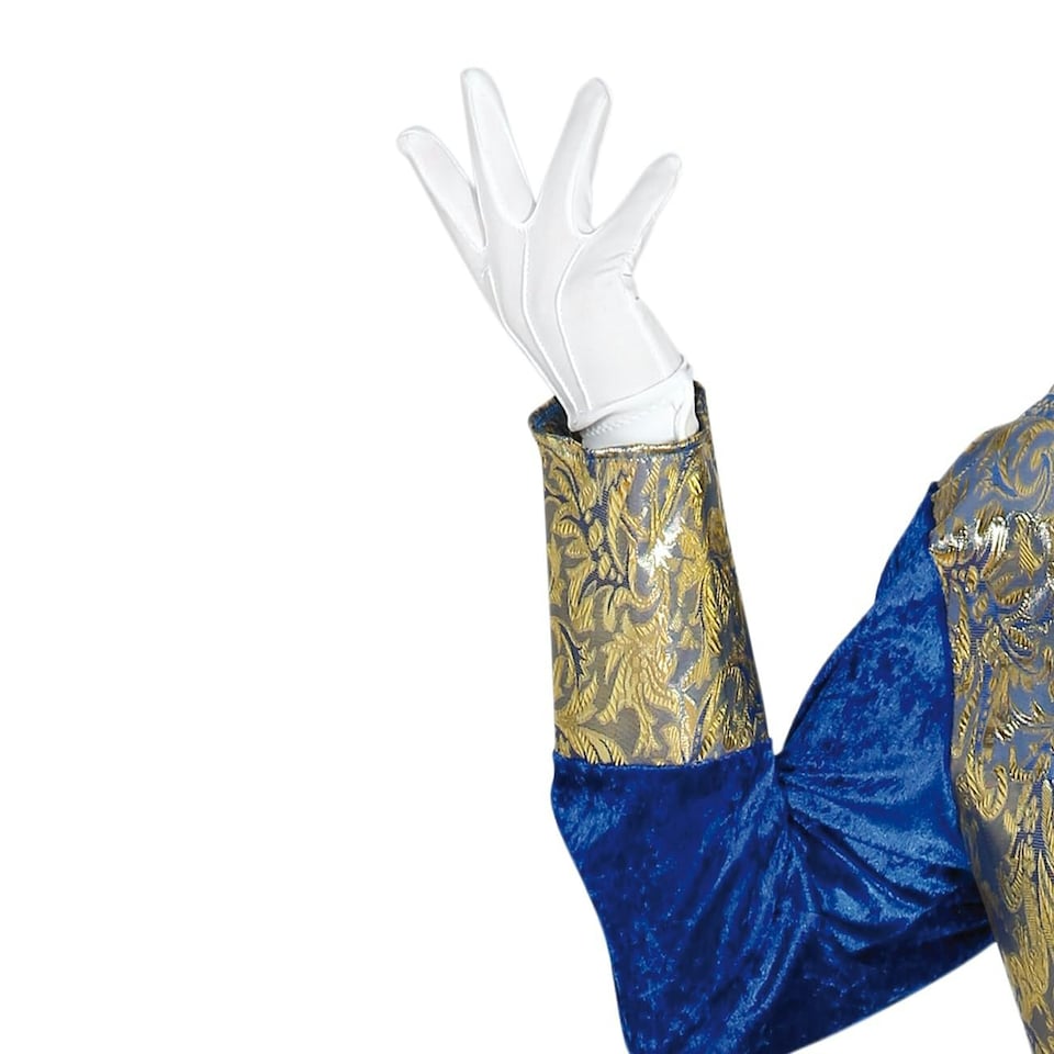image 1 of Fancy Dress Adult Blue Marquis - M