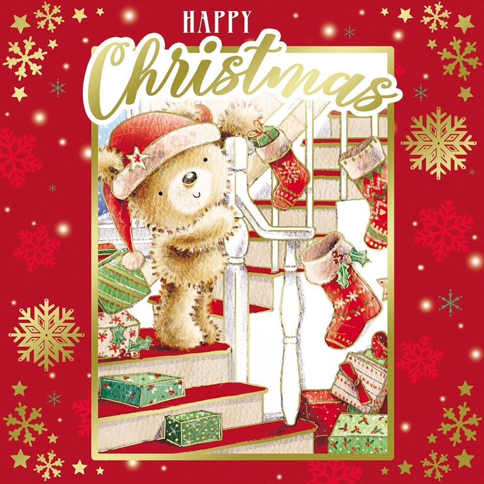 image 1 of Pack of 10 Festive Cute Teddy Bear Christmas Boxed Cards