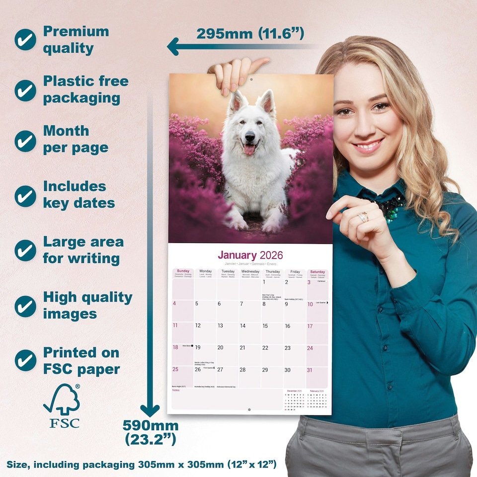 image 1 of White Shepherd 2026 Calendar | Square Wall Calendar | Dog Breed Gift | Plastic Free Packaging | by Avonside Publishing