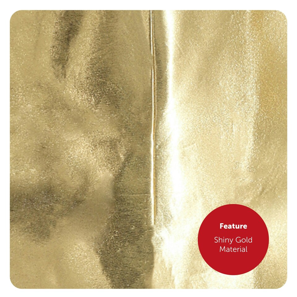 image 1 of Adult Gold Star Costume – Fancy Dress (One Size) N/A | One Size