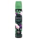 image 1 of Yardley London Magnolia and Fig Body Spray 75ml