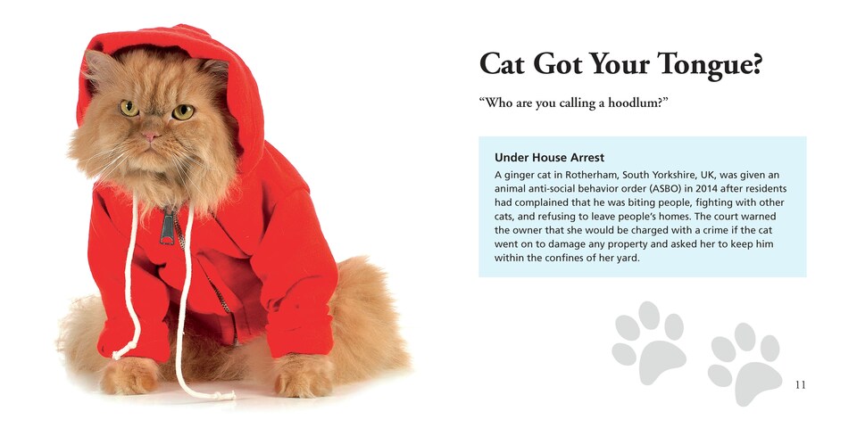 image 1 of Cats Gone Bad