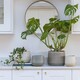 image 3 of Celeste Planter - Ceramic - L21 x W26 x H26 cm - Grey Grey