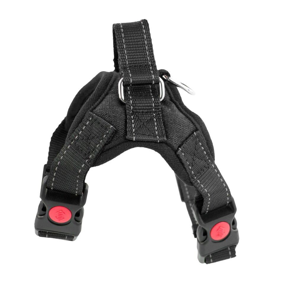 image 1 of KCT Extra Small Black Padded Dog Harness Black | XS