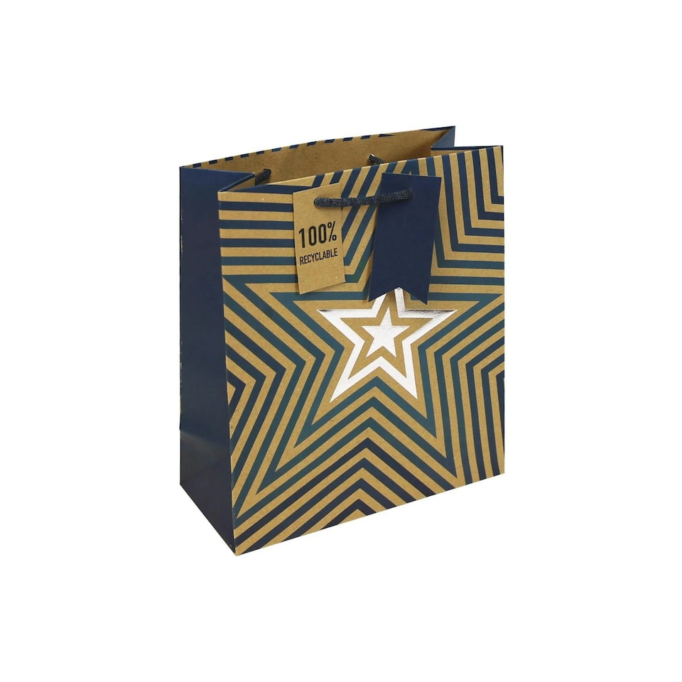Kraft Blue Stars Medium Gift Bag | Brown | 1