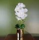 image 1 of Artificial Orchid Large White Gold 52cm Botanik