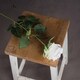 image 3 of Traditional Rose Artificial Flower - Fabric/Plastic - L9 x W9 x H71 cm - White