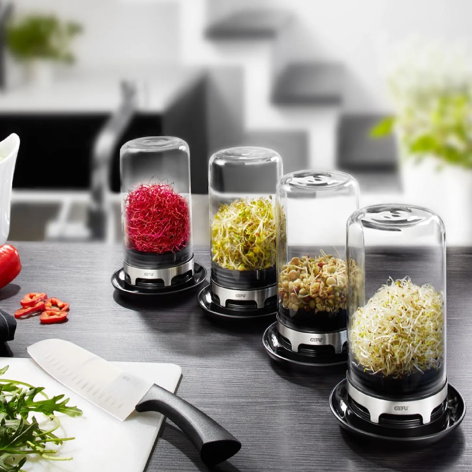 image 1 of GEFU Bivita Sprouting Jar for Fresh Homegrown Sprouts