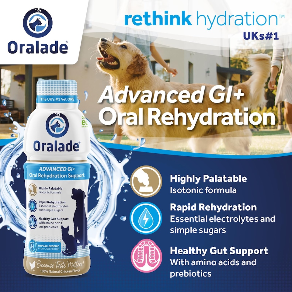 image 1 of Oralade Gi Support 500ml 3 Pack (3 x Single Bottles)