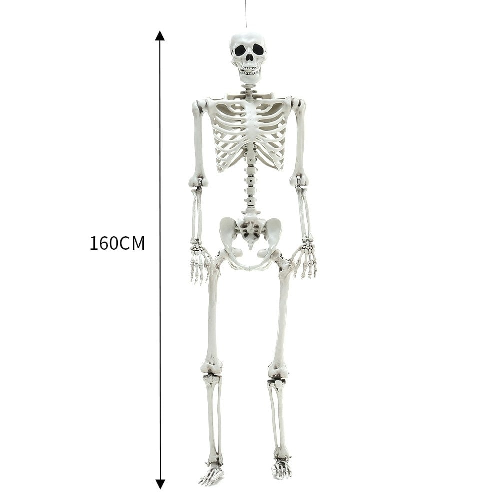 Living and Home Halloween Realistic Full Body Skeleton Posable Prop - 160cm