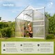image 2 of Aluminium greenhouse with foundation, 185x250x195cm