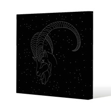 Capricorn zodiac sign (canvas) 90 x 90 x 4cm