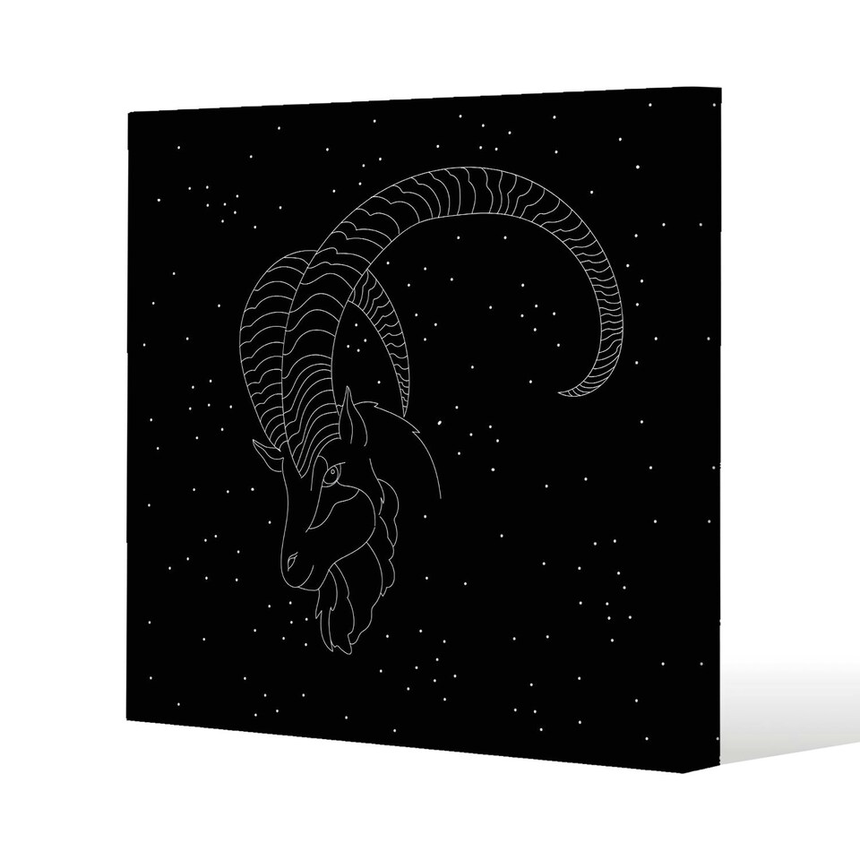 Capricorn zodiac sign (canvas) 90 x 90 x 4cm