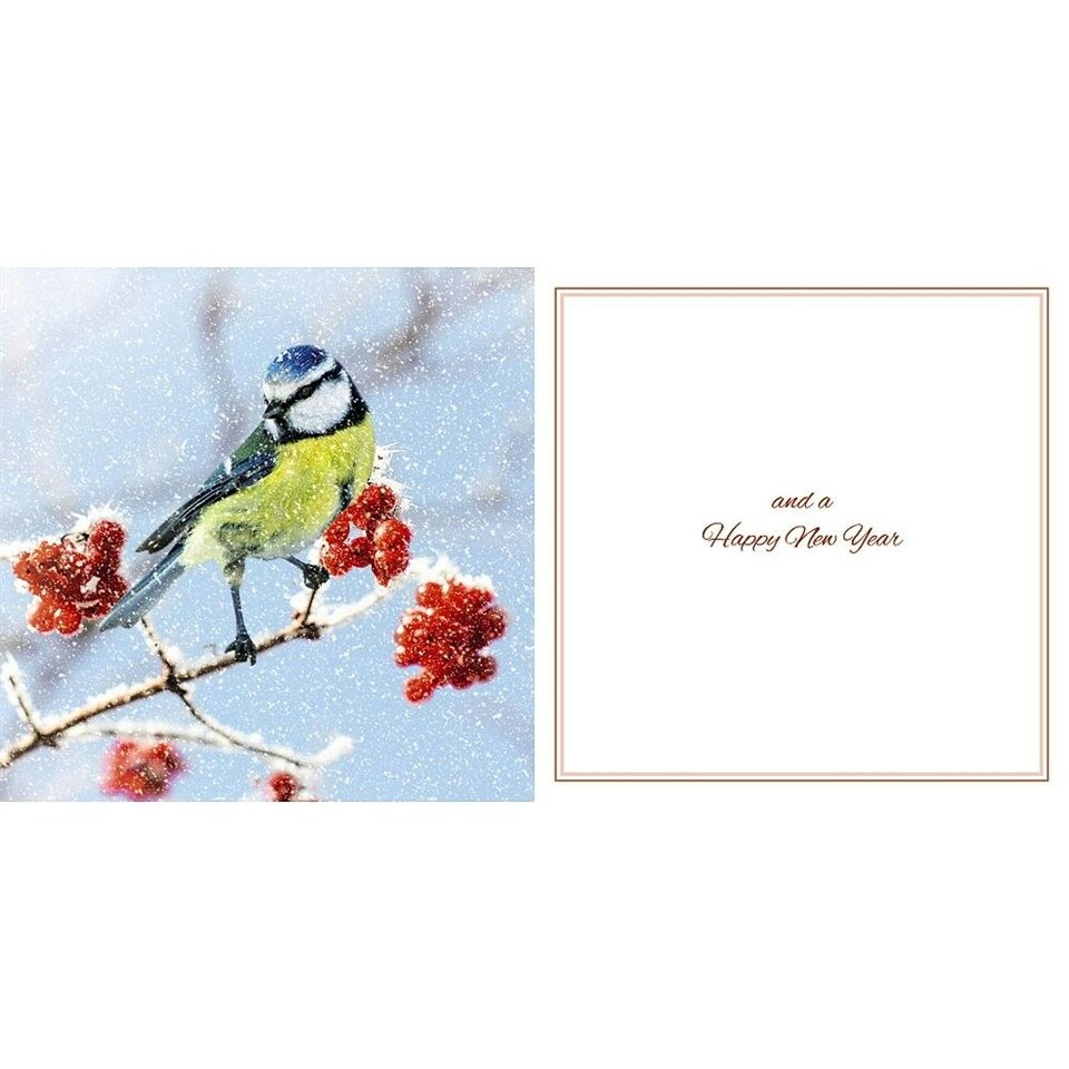 image 1 of Blue Bird On Berry Branch Photographic 3D Lenticular Merry Christmas Card with Detachable Keepsake