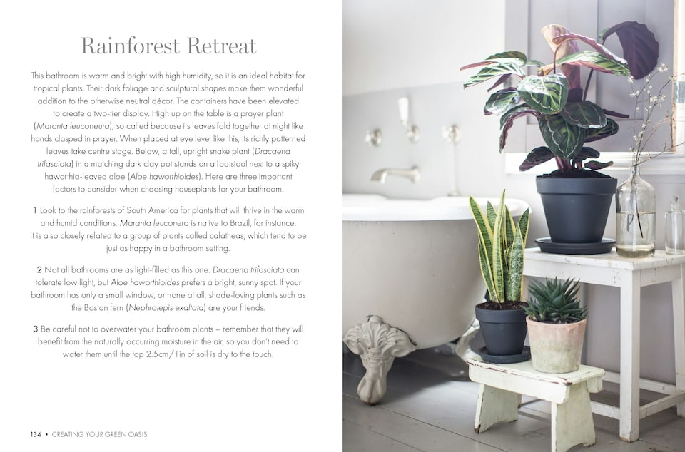 image 1 of Happy Houseplants