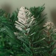 image 6 of 2.7m Snow Tipped Christmas Garland with Pine Cones and Mixed Needles