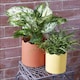 image 2 of Ceramic Indoor Plant Pot Clay - H17.5cm