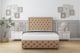 image 1 of Sloomy Vienna Latte Dumfries Divan Bed With Mattress 2 Drawers Footend With 26" Strutted Headboard & 12" Matching Footboard 6' Super King | Brown | Latte | Super King | 1