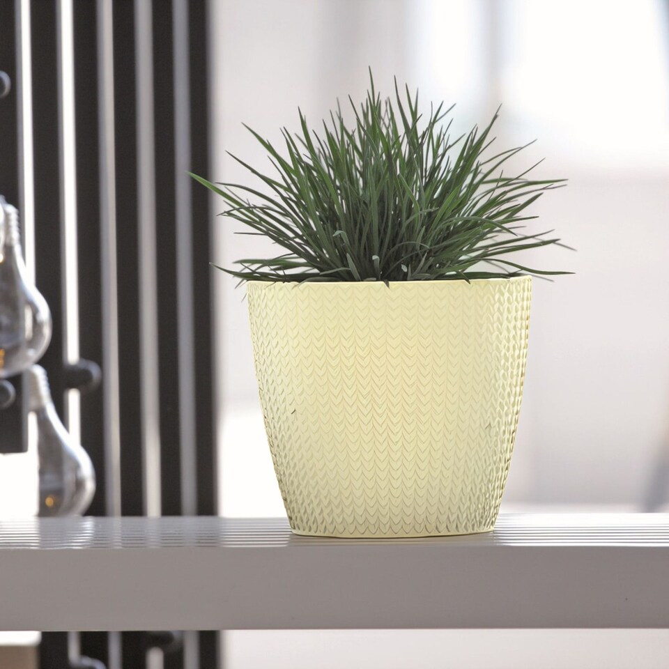 image 1 of WHEATY Round Flower Pot - 19.3x21.8x21.8cm | Cream | Cream & Set of 2 | 2