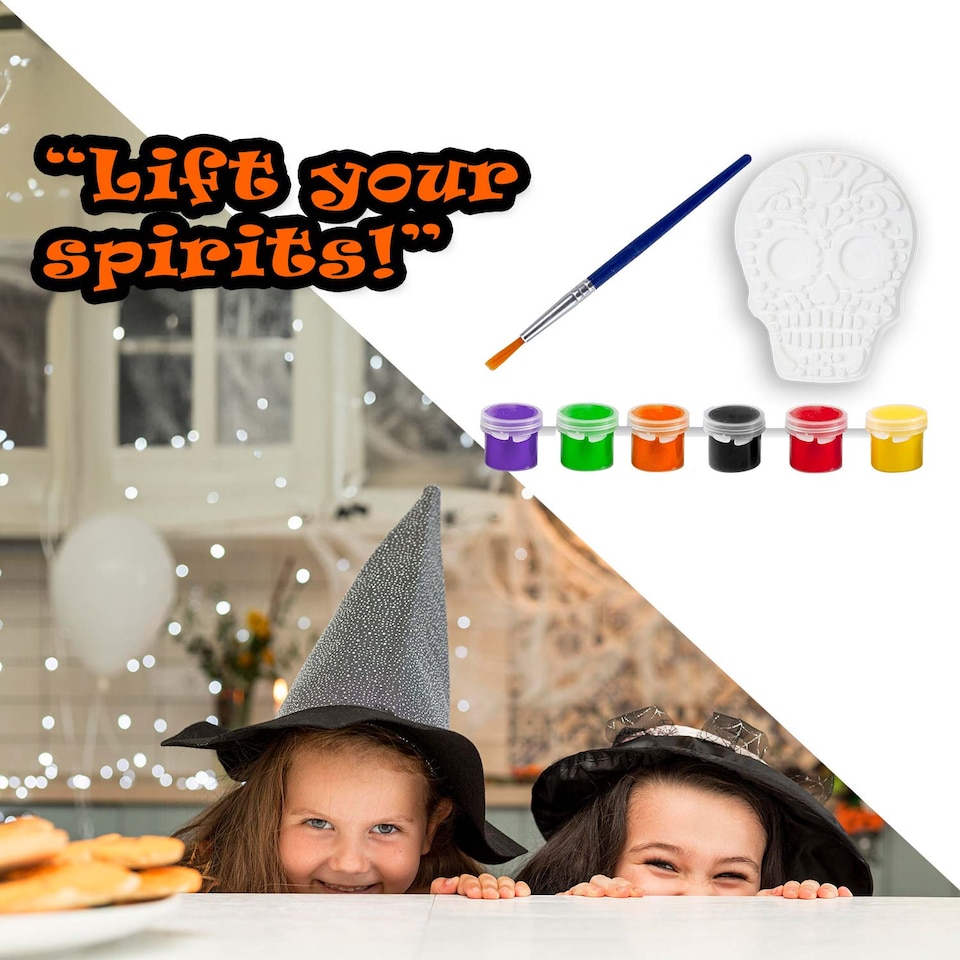 image 1 of PMS Halloween Skull Paint Kit 23.5cm - Party Decorations