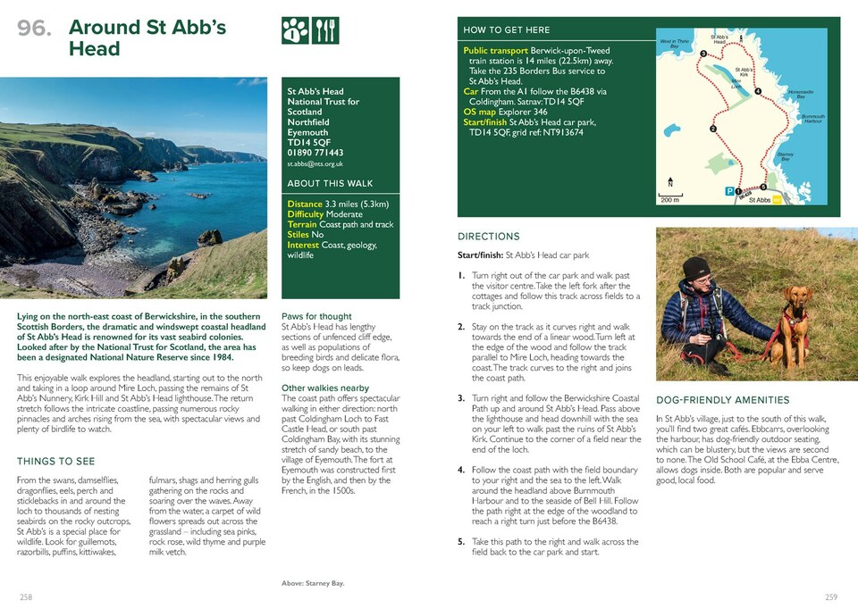 image 1 of Great British Walkies