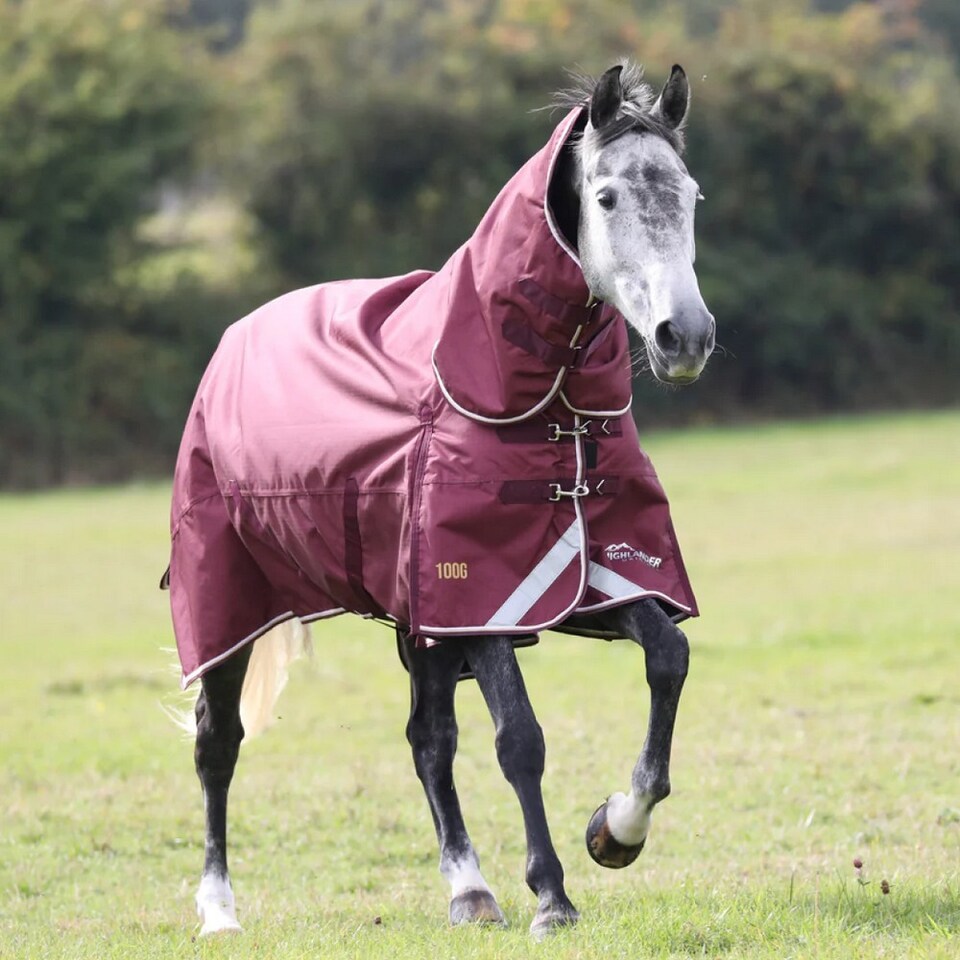 image 1 of Highlander Plus Combo Neck 100g Horse Turnout Rug | Brown | Maroon | 7Ft | 1