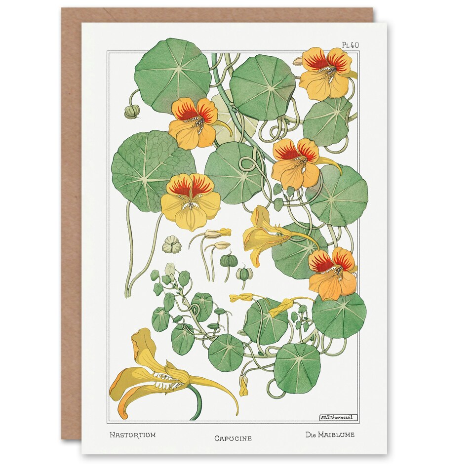 image 1 of Maurice Pillard Verneuil Art Card Nasturtium Flower
