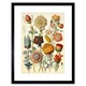 image 1 of Botanical Ernst Haeckel Style Plant Watercolour 9x7" Black Framed Wall Art Print