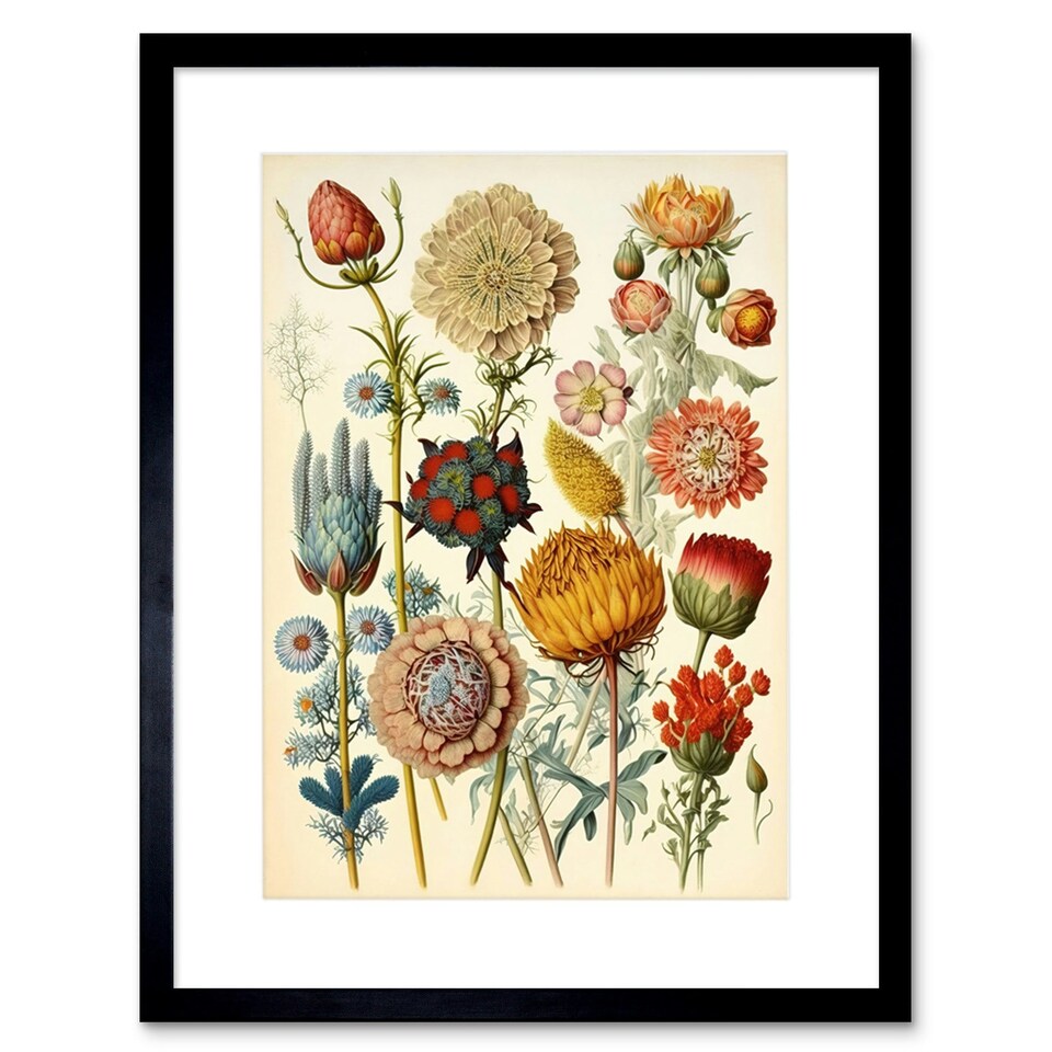 image 1 of Botanical Ernst Haeckel Style Plant Watercolour 9x7" Black Framed Wall Art Print
