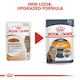 image 10 of ROYAL CANIN® Intense Beauty Care Adult Wet Cat Food N/A | Size: 12 x 85g
Texture: Jelly