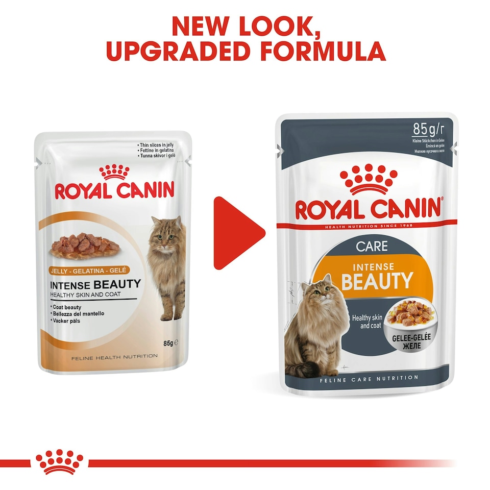 image 1 of ROYAL CANIN® Intense Beauty Care Adult Wet Cat Food N/A | Size: 12 x 85g
Texture: Jelly