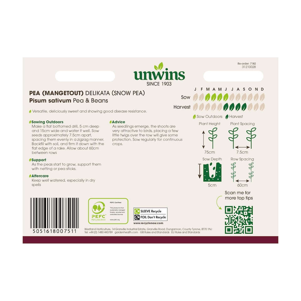 image 1 of Pea (Mangetout) Delikata | Multi | Green