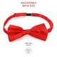 image 6 of Red Nose, Satin Top Hat, Braces, Satin Bow Tie Red | One Size