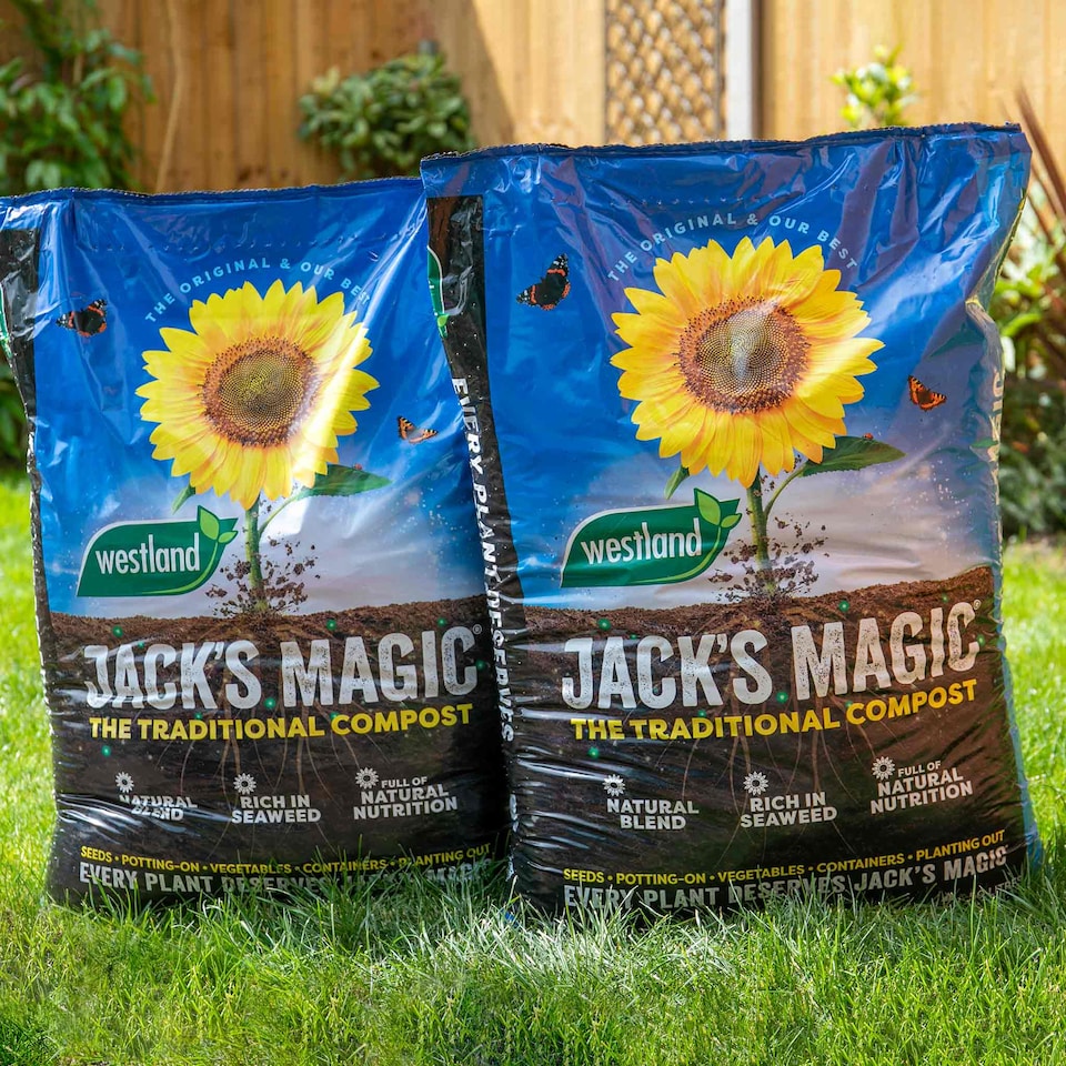image 1 of Westland Jack's Magic All-Purpose Compost 50L